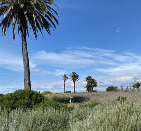 Bolsa Chica Ecological Reserve In Huntington Beach Ca Photos