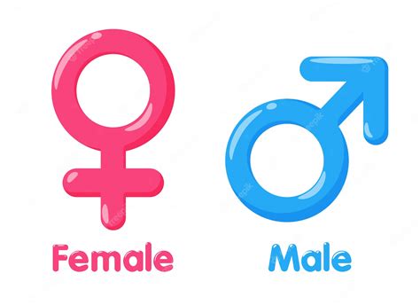 Premium Vector Gender Symbol Meaning Of Sex And Equality Of Males