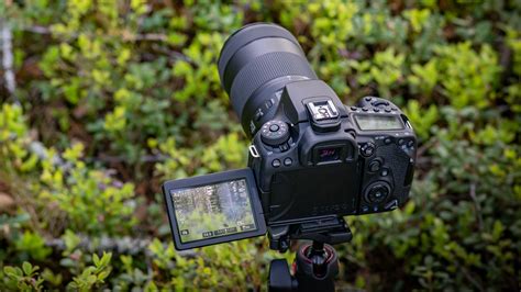 The best DSLR in 2021 | Digital Camera World