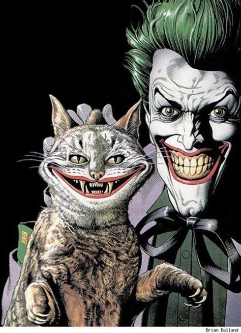 The Jokers Cat Brian Bolland Le Joker Batman Art Du Joker Joker