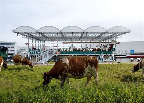 Sustainable Floating Dairy Farm In The Netherlands Is Home To