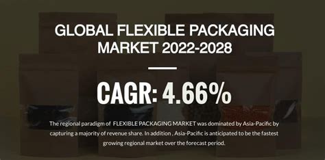 Global Flexible Packaging Market Share And Analysis By 2028 R Packaging