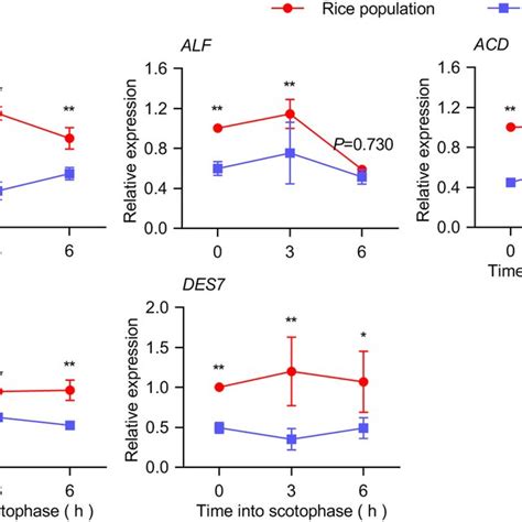 Relative Expression Of Putative Sex Pheromone Biosynthetic Genes