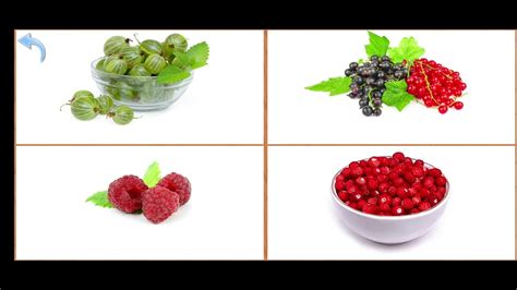 Карточки Домана Часть 9 Ягоди! - YouTube