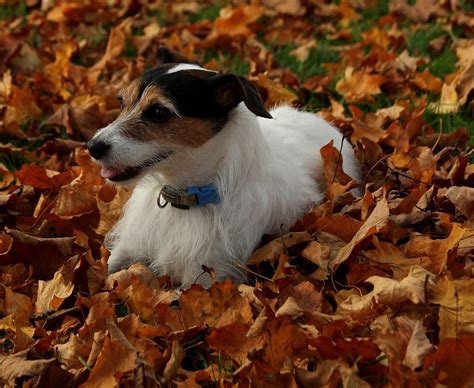 My Life Sex And Porn Masie Dee The Podcast