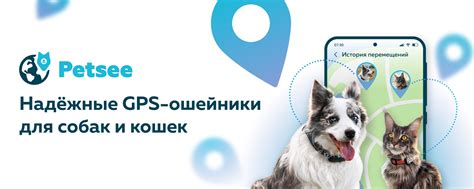 Petsee - ошейники с GPS для собак и кошек | 45 000 кошек, собак ...