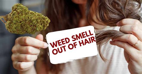 How To Get Weed Smell Out Of Hair Foolproof Ways Multy Press