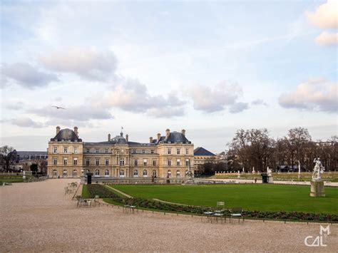 Jardin Du Luxembourg Jeune Forêt Mon Chat Aime La Photo
