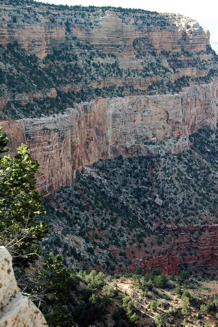 Kaibab Limestone Toroweap Formation Coconino Sandstone Her Flickr