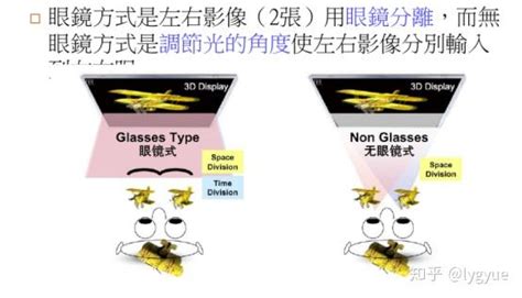 裸眼3d技术原理 知乎