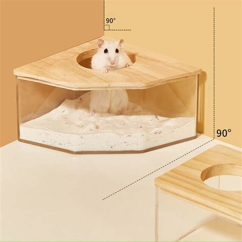 Hamster Transparent Sand Bath Container – The Great Big Store