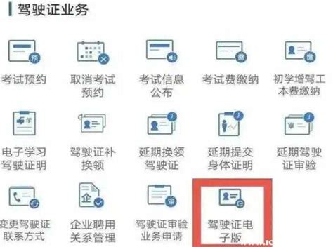 2022新交规可以不带驾驶证？车主指南