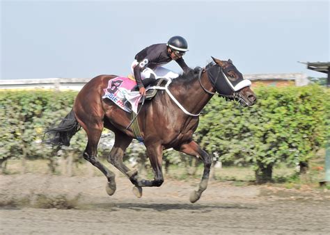El gran Clásico de la Velocidad se corre en honor a Miguel Salem Dibo