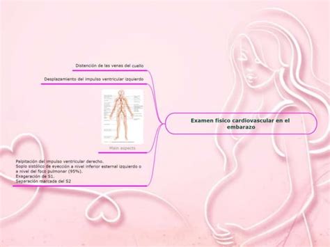 Cambios Fisiol Gicos Y Cardiovasculares Ppt