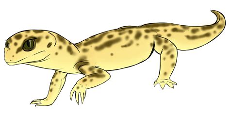 Cute Leopard Gecko Drawing Easy