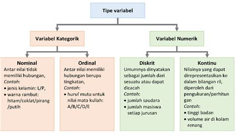 skill statistika populasi sampel beserta teknik pengum