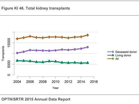 Kidney Donation Life Expectancy at Irving Sandoz blog