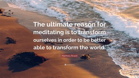 Matthieu Ricard Quote The Ultimate Reason For Meditating Is To