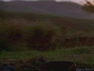 Naked Mariah Teixeira In Baixio Das Bestas