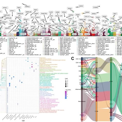 Immune Cell Landscape In Uc A Manhattan Plot The Degs In 51 Cell