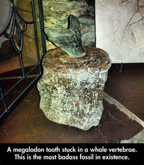 Tits Meme By Drakxa Memedroid