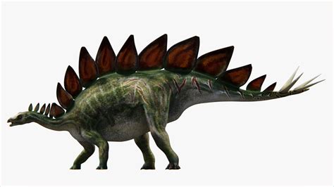 Stegosaurus stenops by Benjee10 on DeviantArt