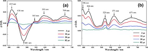 Nanosecond Time Resolved Transient Difference Absorption Spectra Of A