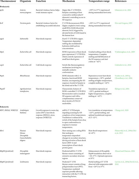 Frontiers Rna Structure Mediated Thermoregulation What Can We Learn