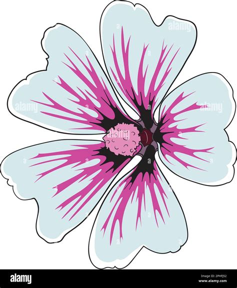 Elegant Hibiscus Flower Vector Illustration Stock Vector Image And Art