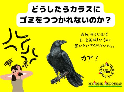 | カラスにゴミを荒らされた！実際にカラス被害が防げるようになった、おすすめのカラス対策とは？ | 八王子市、日野市、あきる野市、昭島市の ...