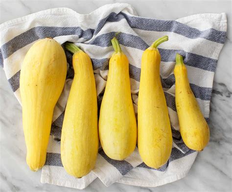 Ww Yellow Squash Recipes - Find Vegetarian Recipes