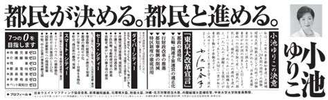 【東京都知事選挙2020】「7つのゼロ」公約の進捗は？小池ゆりこ立候補者の実績 藤井あきらブログ 東京都議会議員