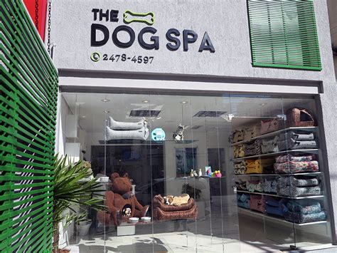 Dono De Franquia De Lingerie Quer Transformar Pet Shop De Luxo Em Nova Rede Economia Uol