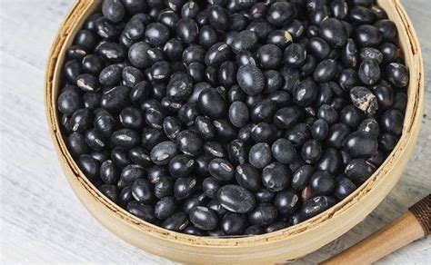 Curiosidades Y Beneficios De Los Frijoles