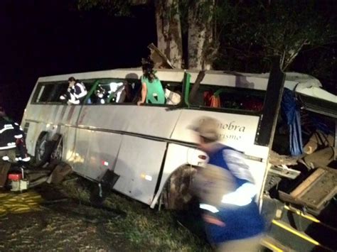 Ônibus Turístico Desvia De Assalto Bate Em árvore E Ao Menos 10 Morrem