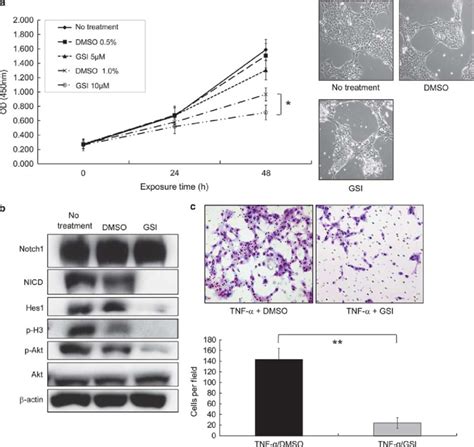 Effects Of G Secretase Inhibitor Gsi On Proliferation And Invasion