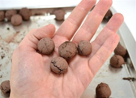 Learn How To Make Seed Balls Perfect For New Planting Or Guerrilla