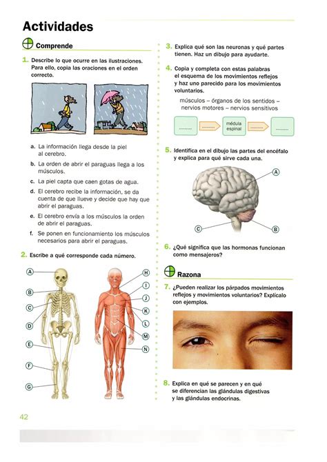 Conocimiento Del Medio Primaria Santillana Pdf