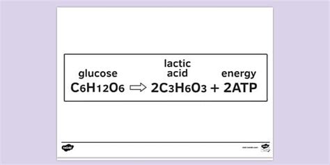 FREE! - Anaerobic Respiration Equat_ | Colouring Sheets