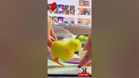 Charming Chick Spin 🤯🫵🛎💟 Shorts Asmr Toys Youtube