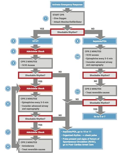 Pals Algorithms You Need To Know Pals Algorithm Algorithm How To