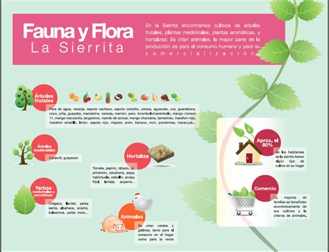 Flora y Fauna Bogotá Diseño La Sierrita