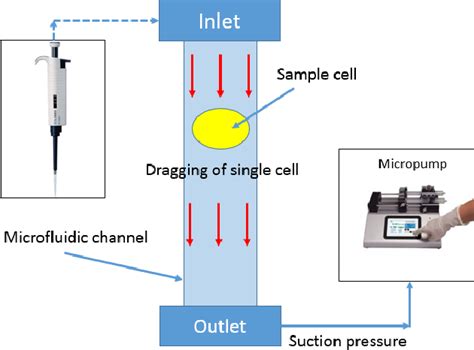 Figure 1 from Lab-on-chip microfluidic system for single cell mass ...