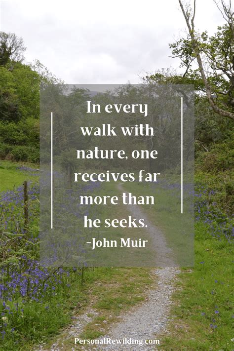 50 Quotes About Walking in Nature