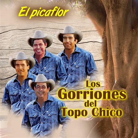 El Picaflor Album By Los Gorriones Del Topo Chico Apple Music