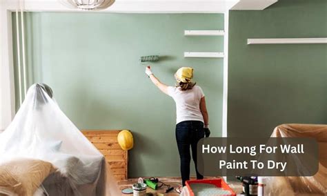how long for wall paint to dry