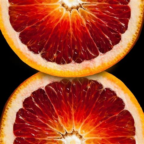 cara cara vs blood orange 1