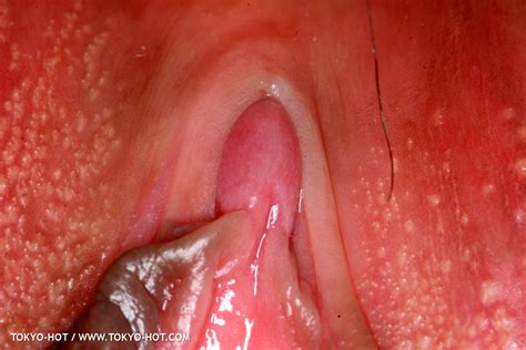 Tokyo Hot N0488 Set2 E431risa Misaki0892 Porn Pic