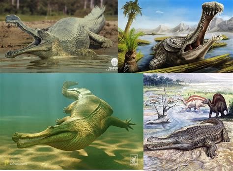 Саркозух (Sarcosuchus) – гавиал-переросток. | Paleo-end-arthropods ...