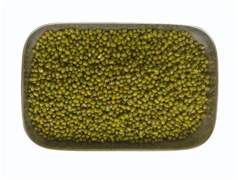 Green Sabut Moong Dal Karnataka High In Protein At Rs 140 Kg In Bengaluru